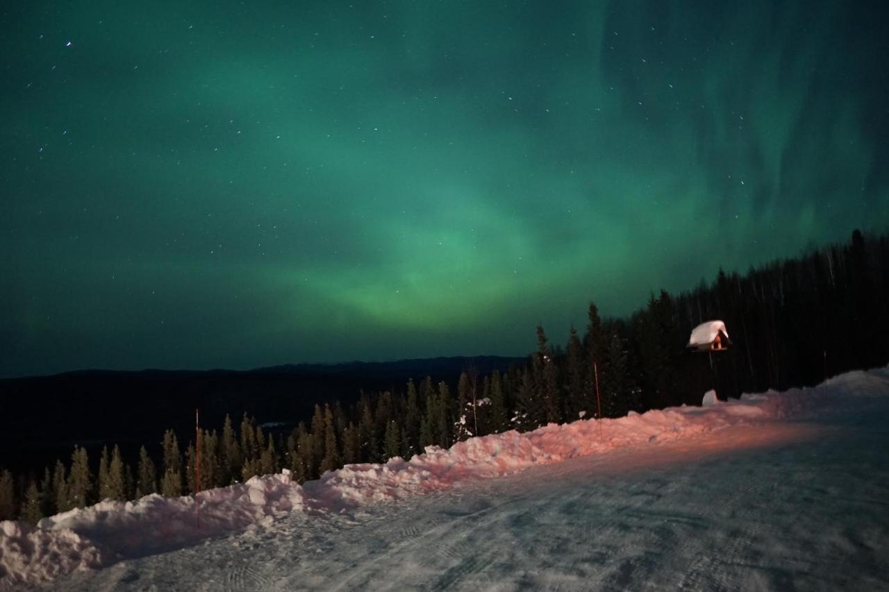 Aurora Villa Fairbanks Exteriér fotografie